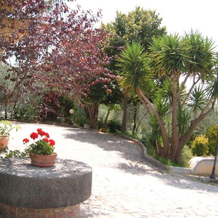 L'Uliveto Vila Montebuono  Exterior foto