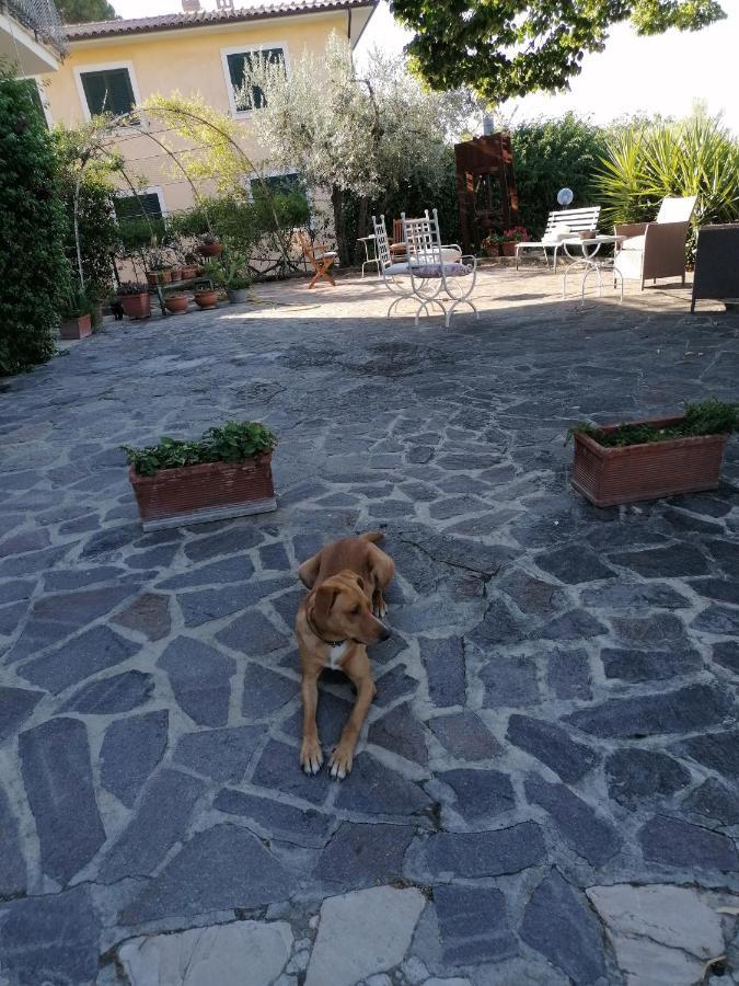 L'Uliveto Vila Montebuono  Exterior foto