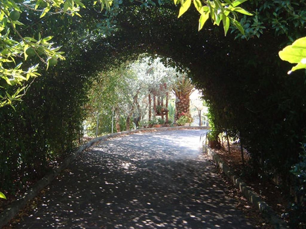 L'Uliveto Vila Montebuono  Exterior foto