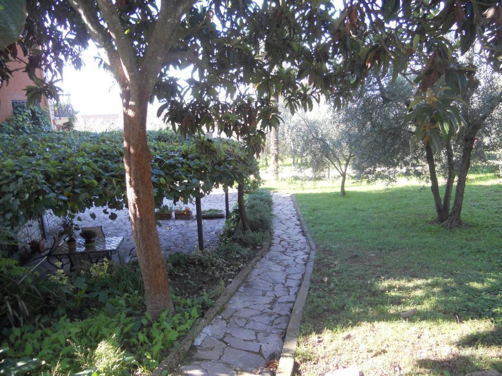 L'Uliveto Vila Montebuono  Exterior foto